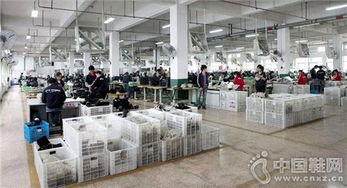 溫州鞋廠引進先進設備，產品開發與效率實現立竿見影提升