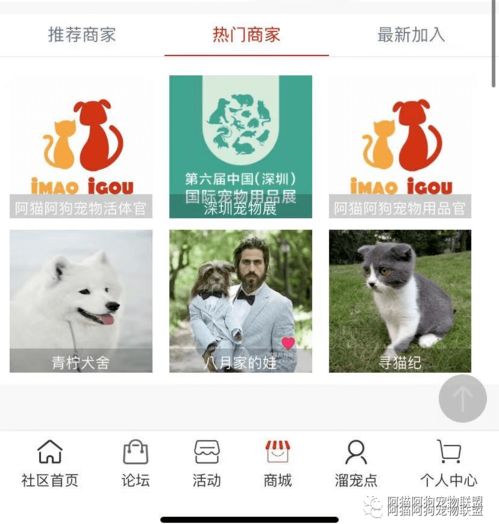 寵物一站式服務詳情目錄表