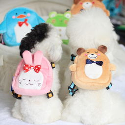 寵星人 為愛寵打造品質生活，最新產品與服務全解析