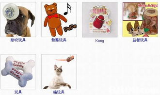 Forever Pets 一站式寵物生活解決方案，為愛寵提供全方位呵護