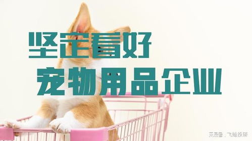 告別紅海競爭，聚焦寵物用品與服務 三個硬核邏輯揭示企業轉型新路徑
