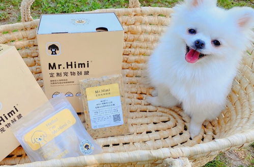 俘獲鏟屎官，從滿足主子的胃開始 定制處方鮮糧引領寵物服務新潮流