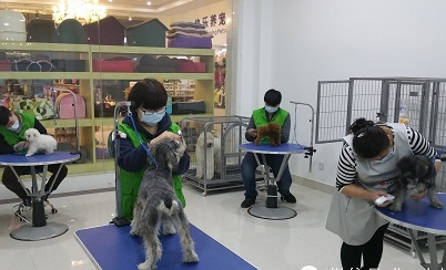 新開寵物店盈利關鍵 高效促銷寵物服務全攻略